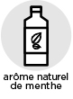 arome naturel menthe